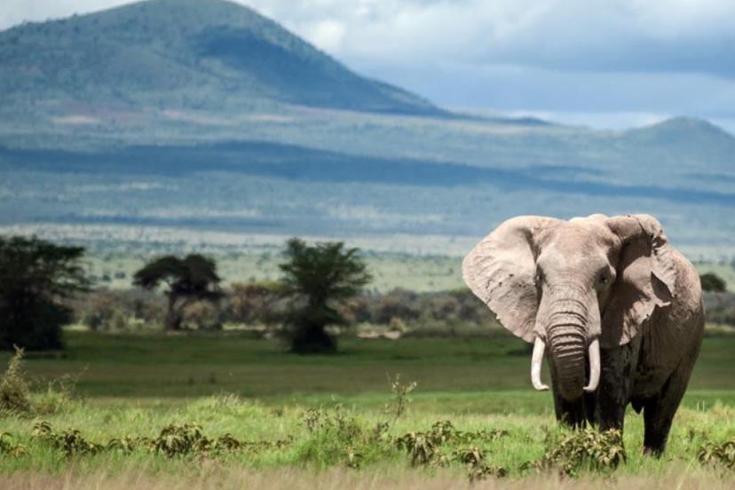 2050’ye kadar yok olma tehlikesi taşıyan UNESCO Dünya Mirası yerleri