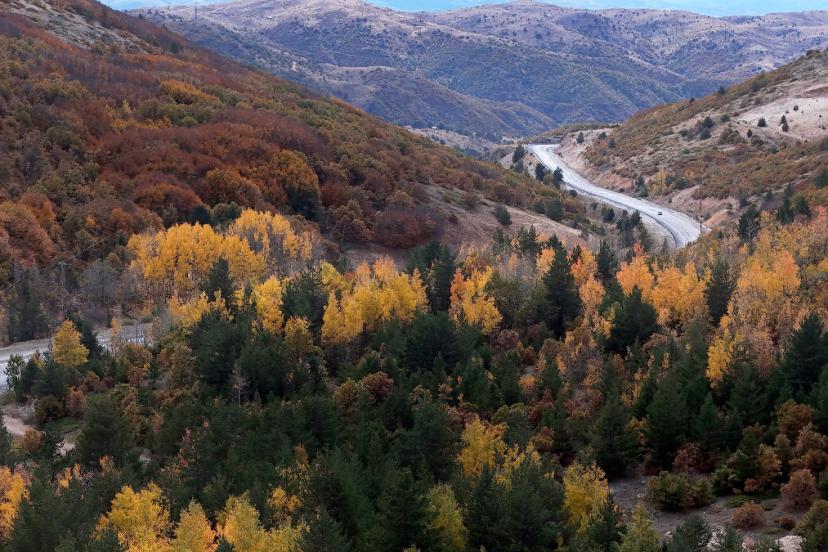 Geminbeli Geçidi sonbaharla renk cümbüşüne büründü