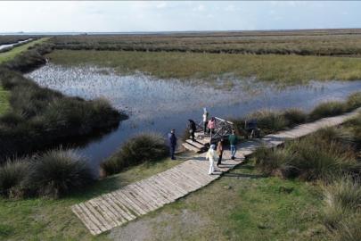Kızılırmak Deltası Kuş Cenneti ziyaretçilerini bekliyor