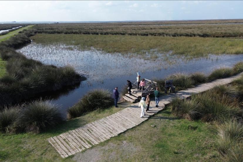 Kızılırmak Deltası Kuş Cenneti ziyaretçilerini bekliyor