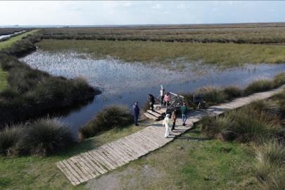 Kızılırmak Deltası Kuş Cenneti ziyaretçilerini bekliyor